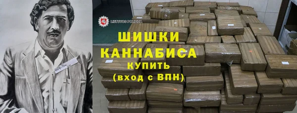 сатива Грязовец