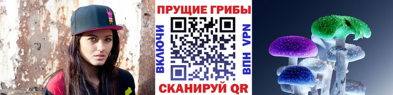 Псилоцибиновые грибы Psilocybe  Котельники 